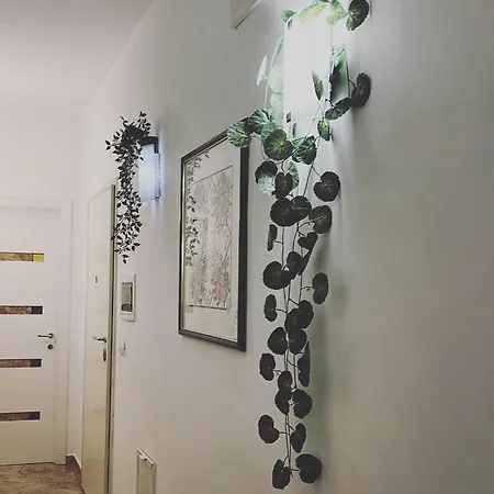 ベッド・アンド・ブレックファスト Esperanto 3*